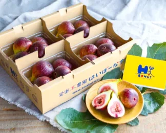 朝採りいちじく