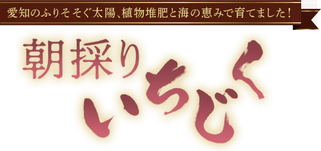 愛楽農園はいぼーなす
