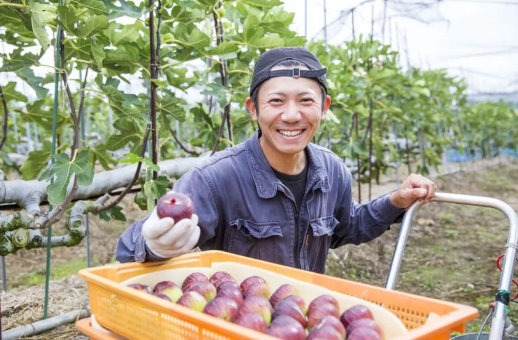 商品紹介