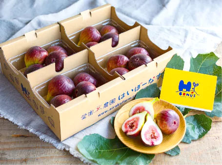 商品紹介